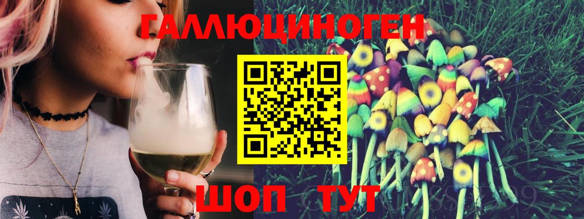 Псилоцибиновые грибы Psilocybine cubensis Балашиха